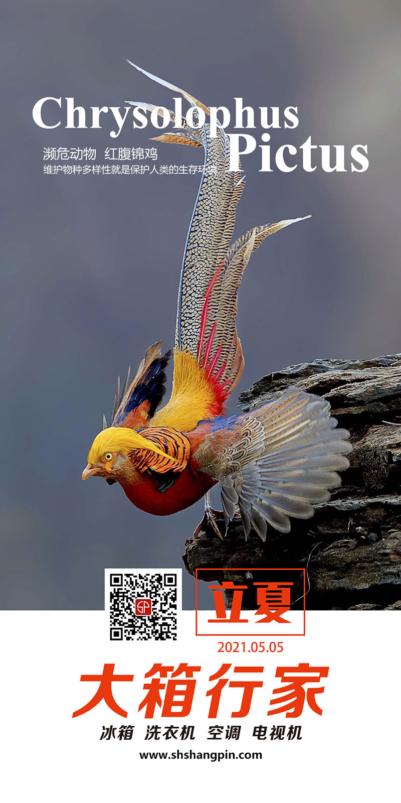 7����-�t���\�uֱ��2016.jpg