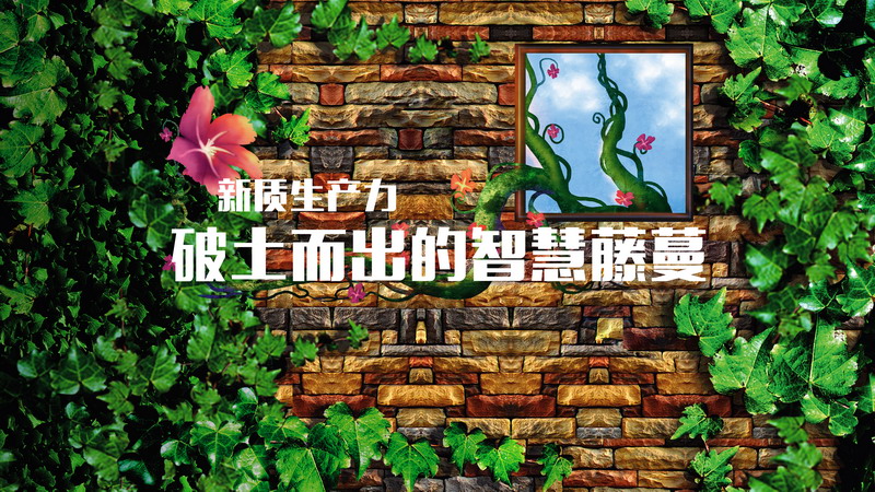 1741078231277327.jpg 藤蔓.jpg